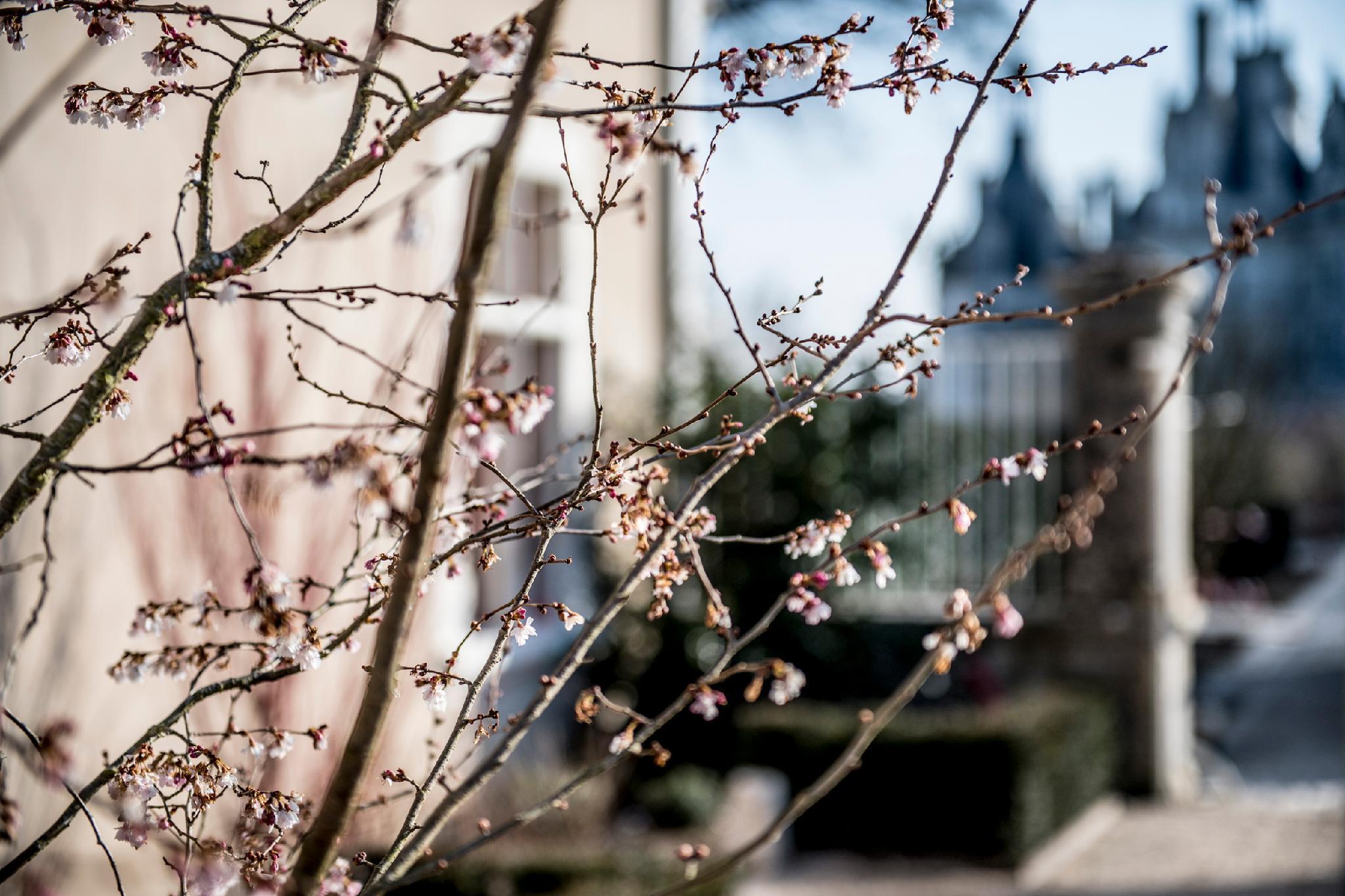 Relais De Chambord - Small Luxury Hotels Of The World Exterior photo